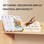 Wooden 3D Puzzle - Praying Mantis